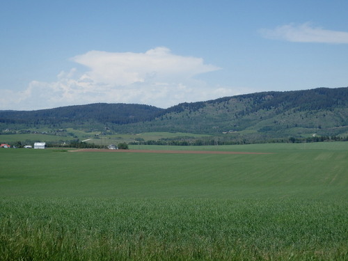 GDMBR: Looking southeast we could see forest lands and a few big storms brewing.